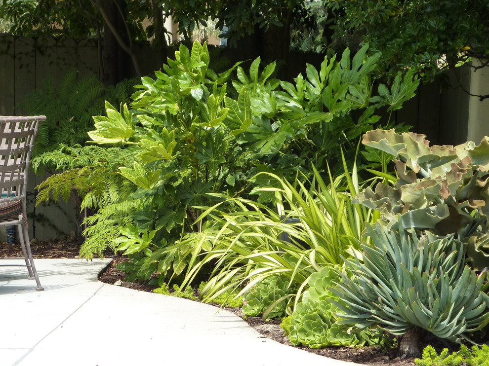 Large tropical backyard full sun garden in Santa Barbara with concrete pavers for summer.