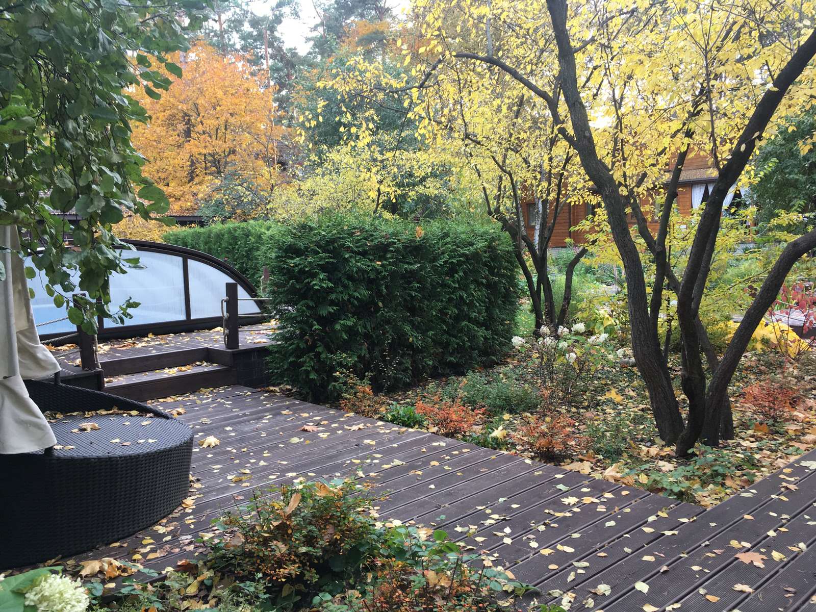 Белкин сад. Осень 2019