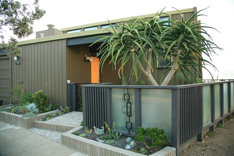 Modern garden in San Francisco.