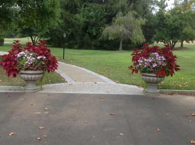 Recent Projects