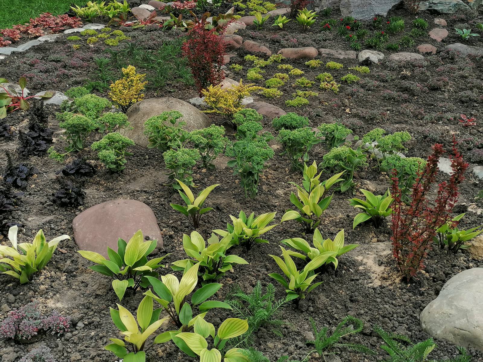 каменистый сад