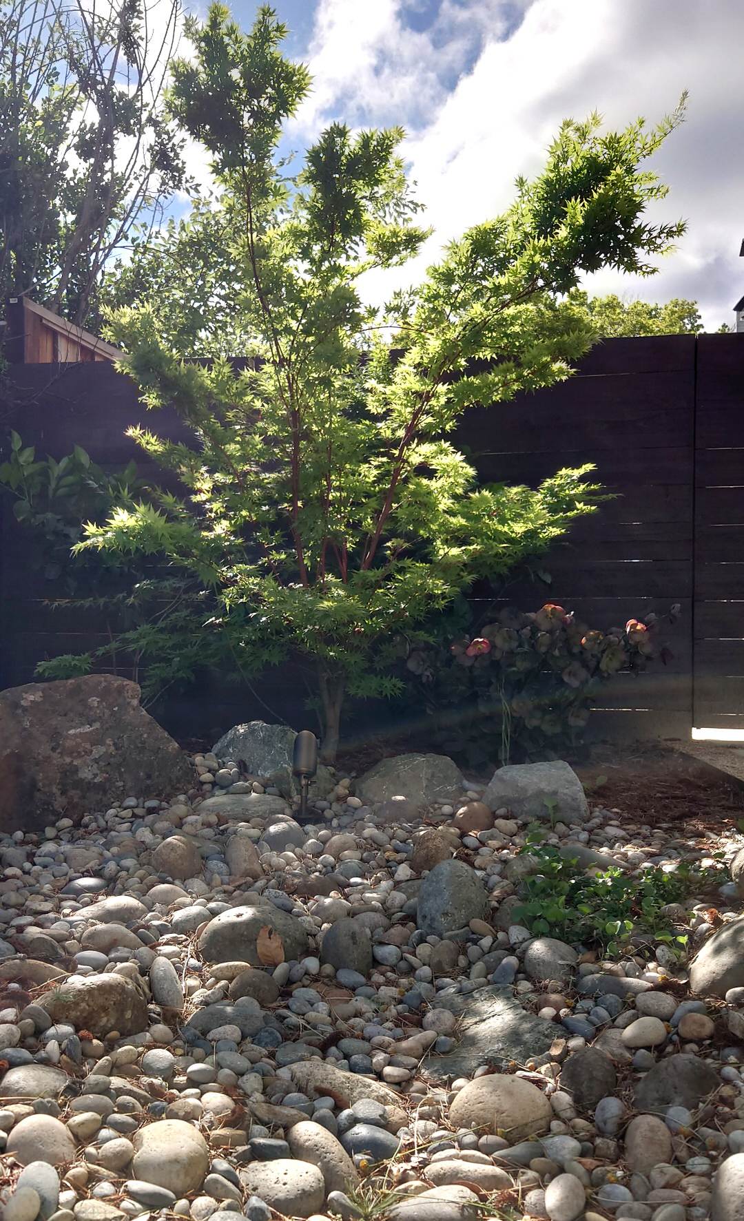 MODERN, MODERN, MODERN