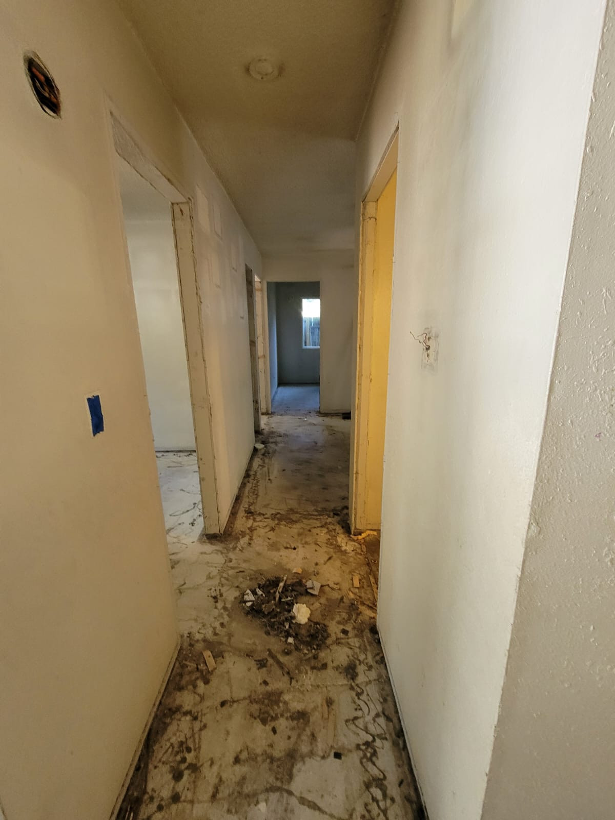 Full remodel