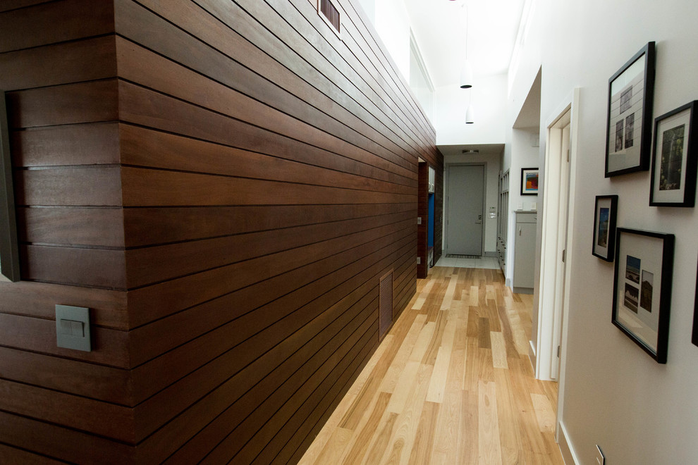 Inspiration for a large modern hallway in Austin with white walls, medium hardwood floors and brown floor.