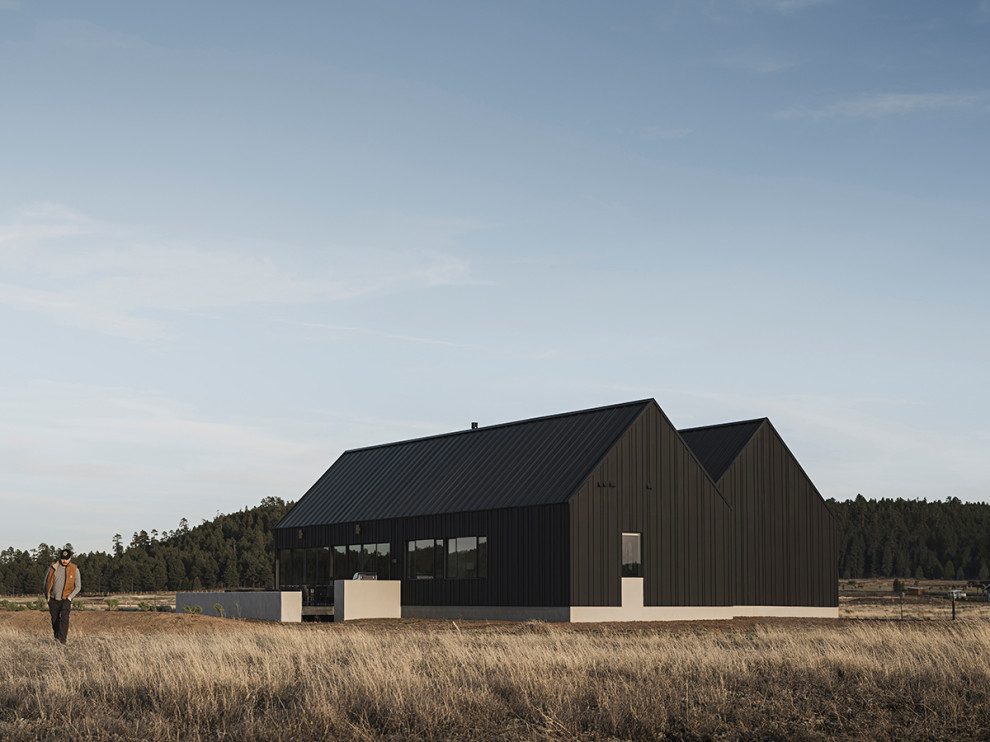 Inspiration for a mid-sized country one-storey black house exterior in Phoenix with concrete fiberboard siding, a gable roof, a metal roof, a black roof and board and batten siding.