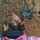 tracy_weisman