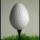 golfdelsurproperty