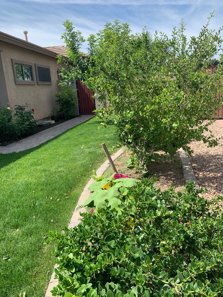 This is an example of a mid-sized eclectic front yard full sun formal garden in Phoenix with a vegetable garden.