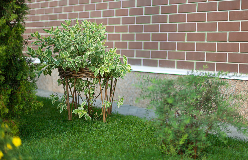 Вавиловец 1