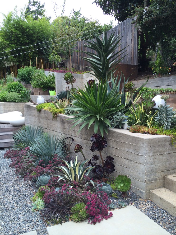Contemporary garden in San Francisco.