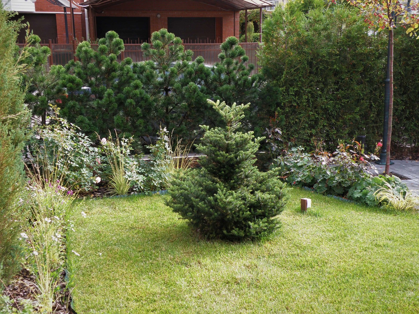 Живая мозаика