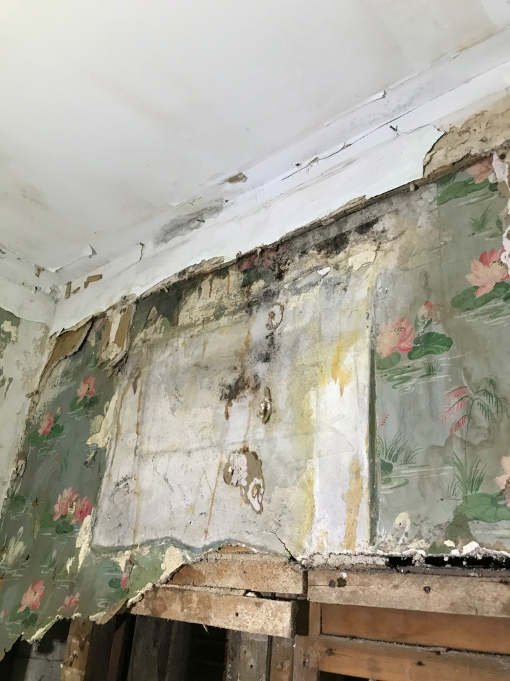 water Mitigation Cambridge