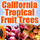 California Tropical Fruit Tree Nursery