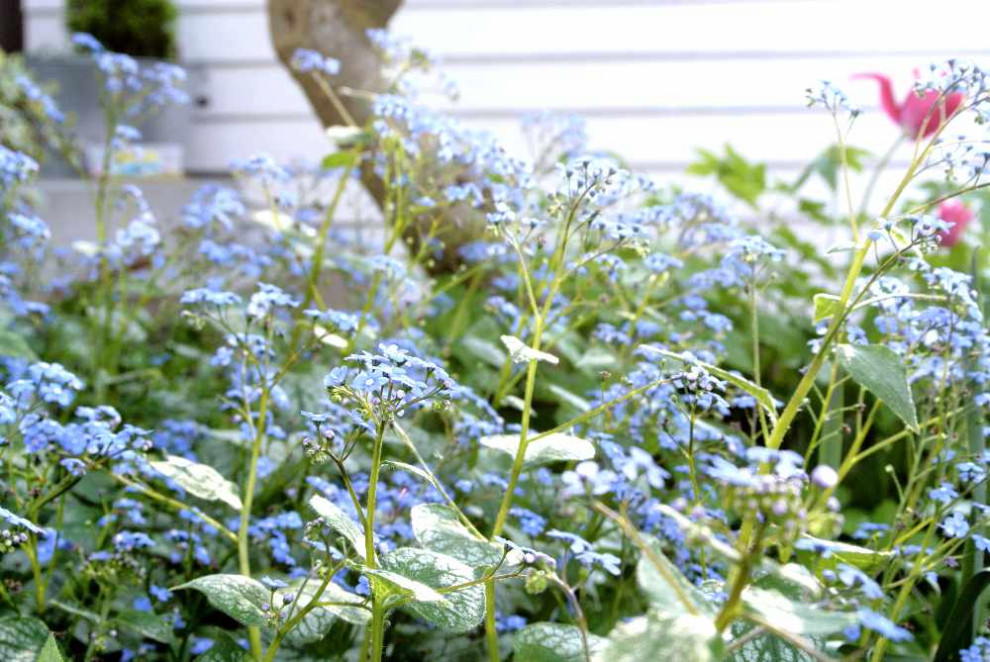 Garten zum Wohlfühlen und Feiern