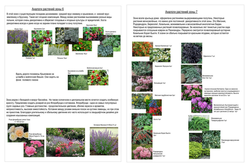 Ассортимент растений