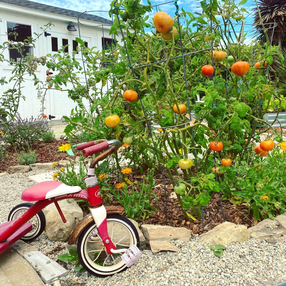 Rustic Kitchen Garden