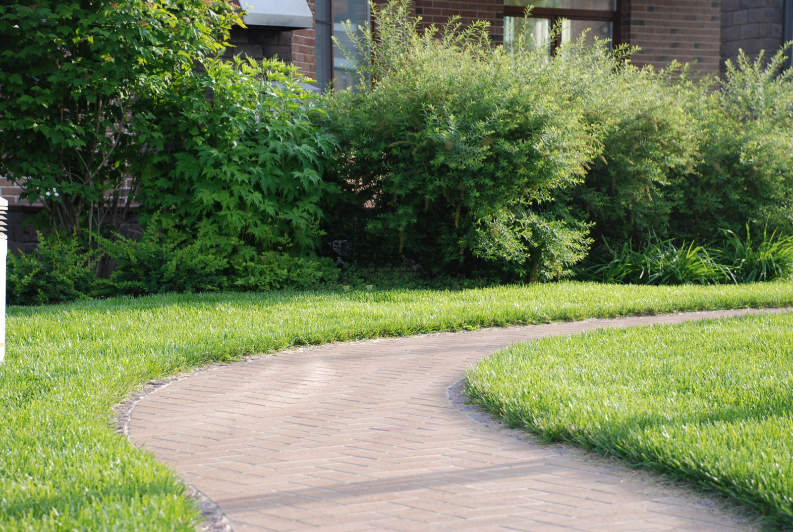 Семейный сад в Миллениум Парк