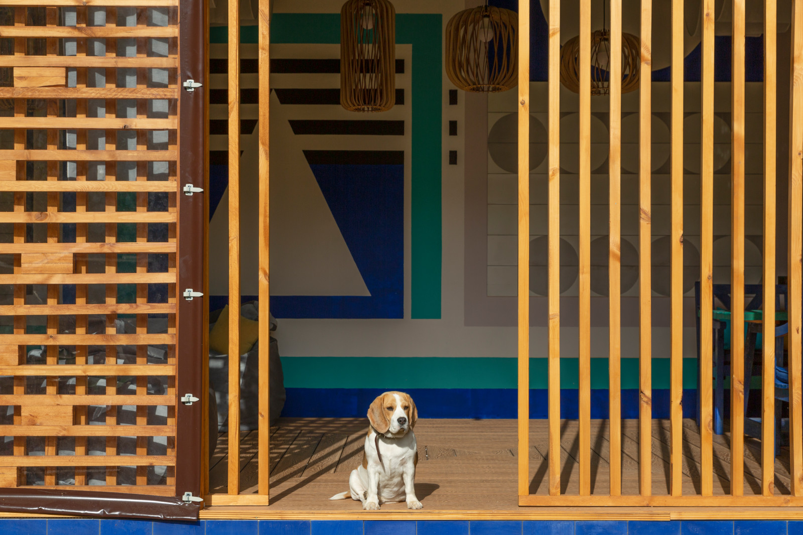 "Летние ночи"