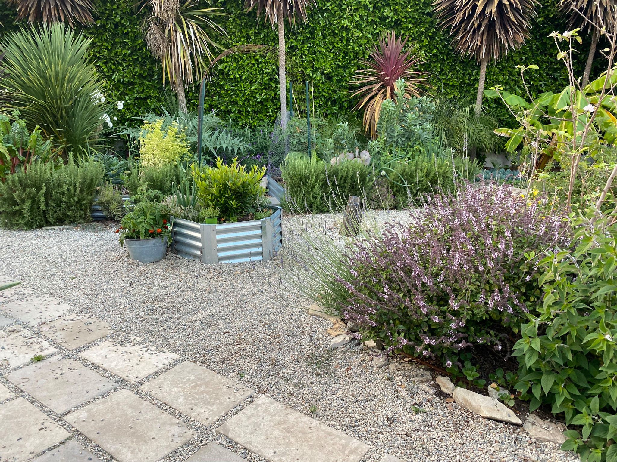 Rustic Kitchen Garden