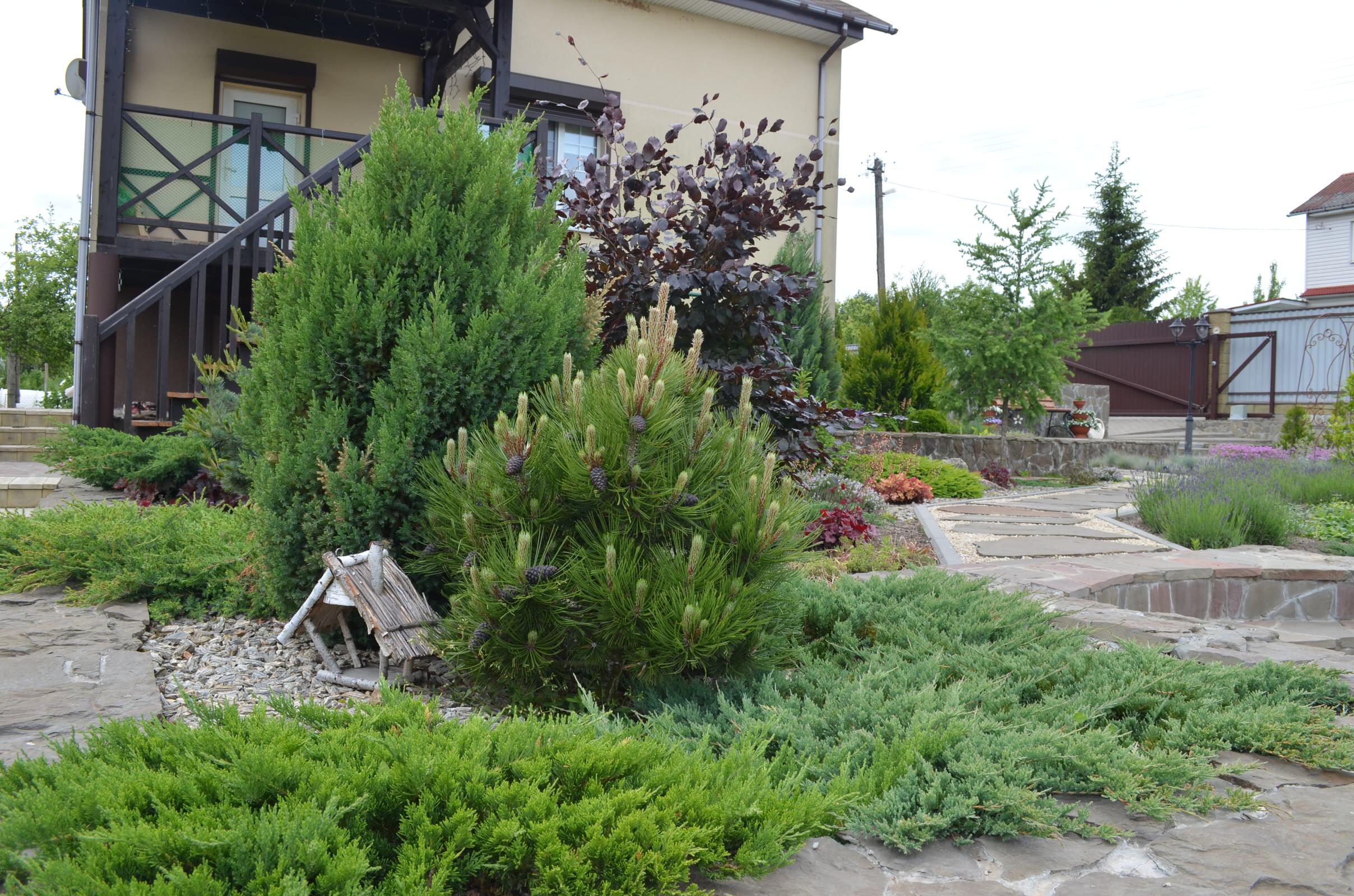 Сад "Ароматы Прованса"