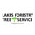Lakes Forestry Tree Service
