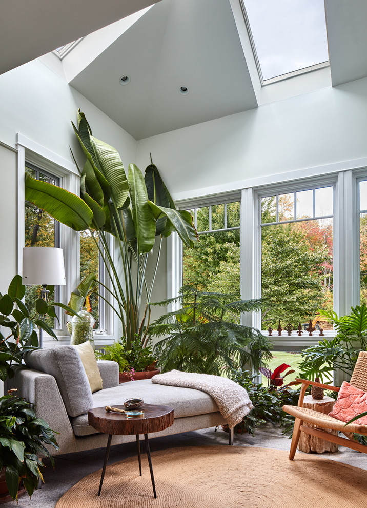 This is an example of a tropical sunroom in Bridgeport with a standard ceiling.