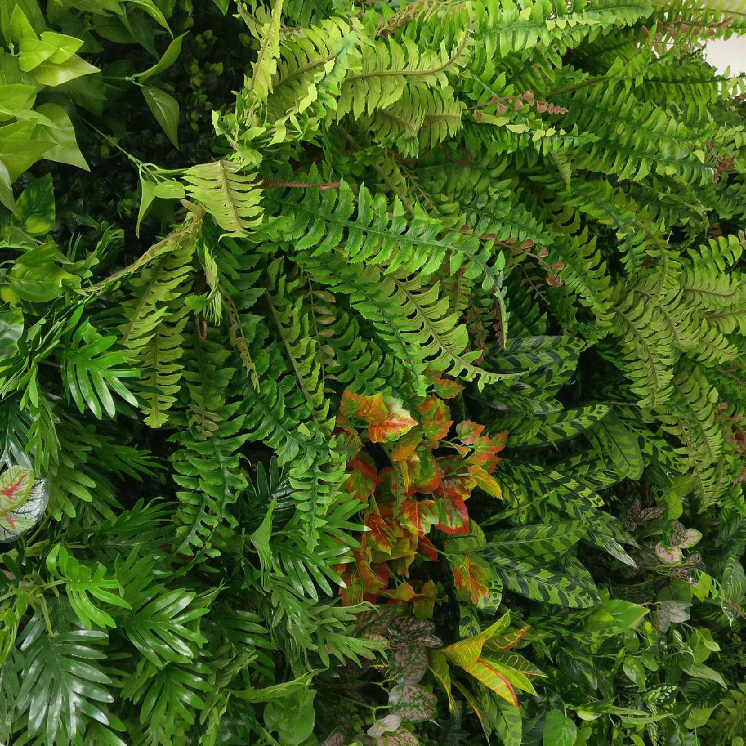 Фотографии проектов без в.знаков