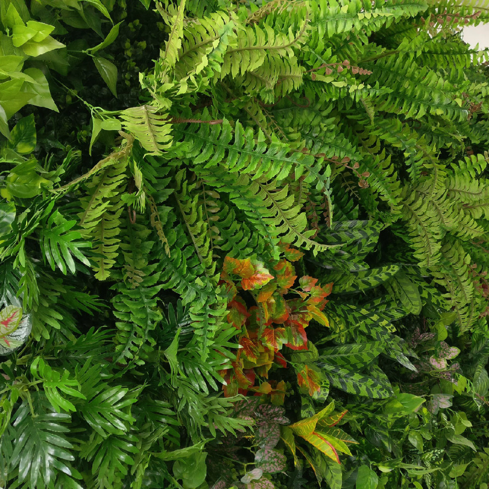 Фотографии проектов без в.знаков