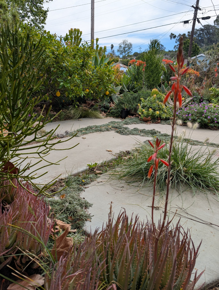 An Artist's Garden