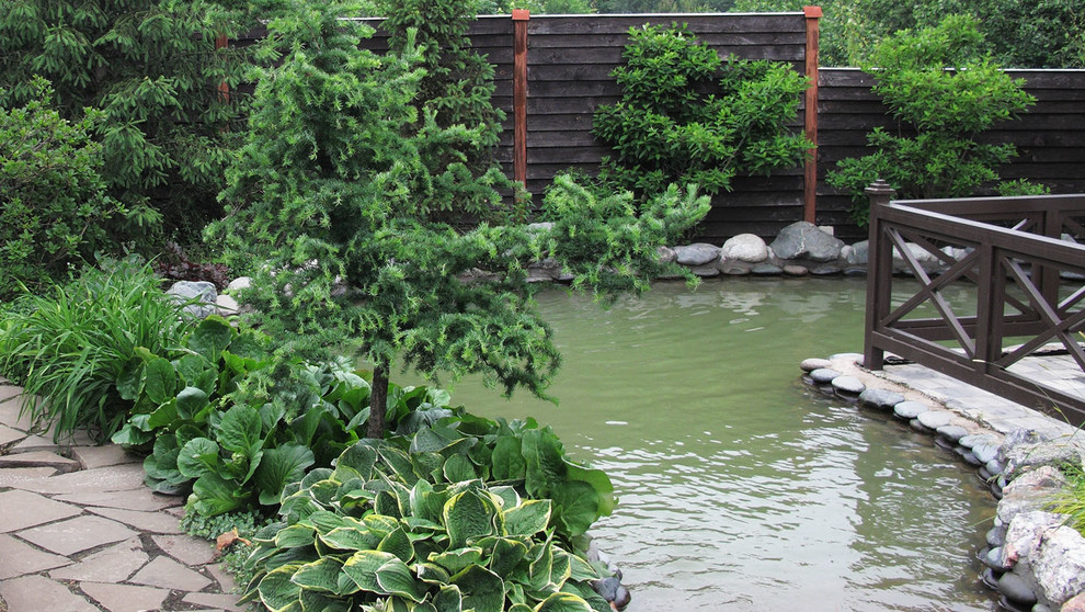 Сад с ручьем В Новогорске 2009 г