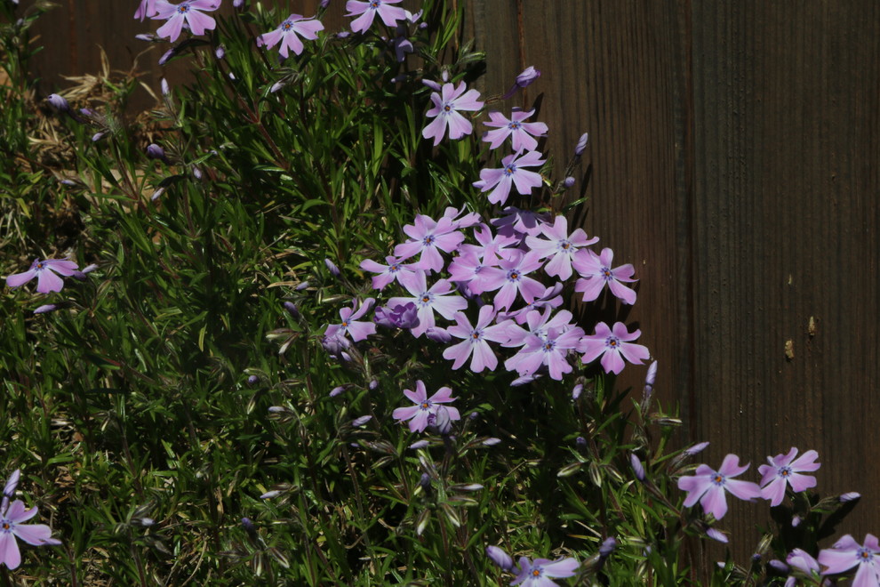 Композитор