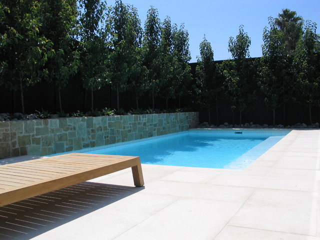Classic family pool and landscape trendy-pool