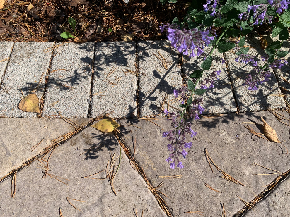 Таргайские усадьбы