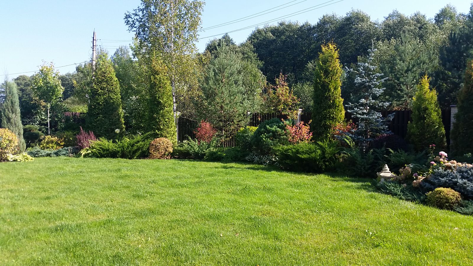 Ландшафтный проект 5