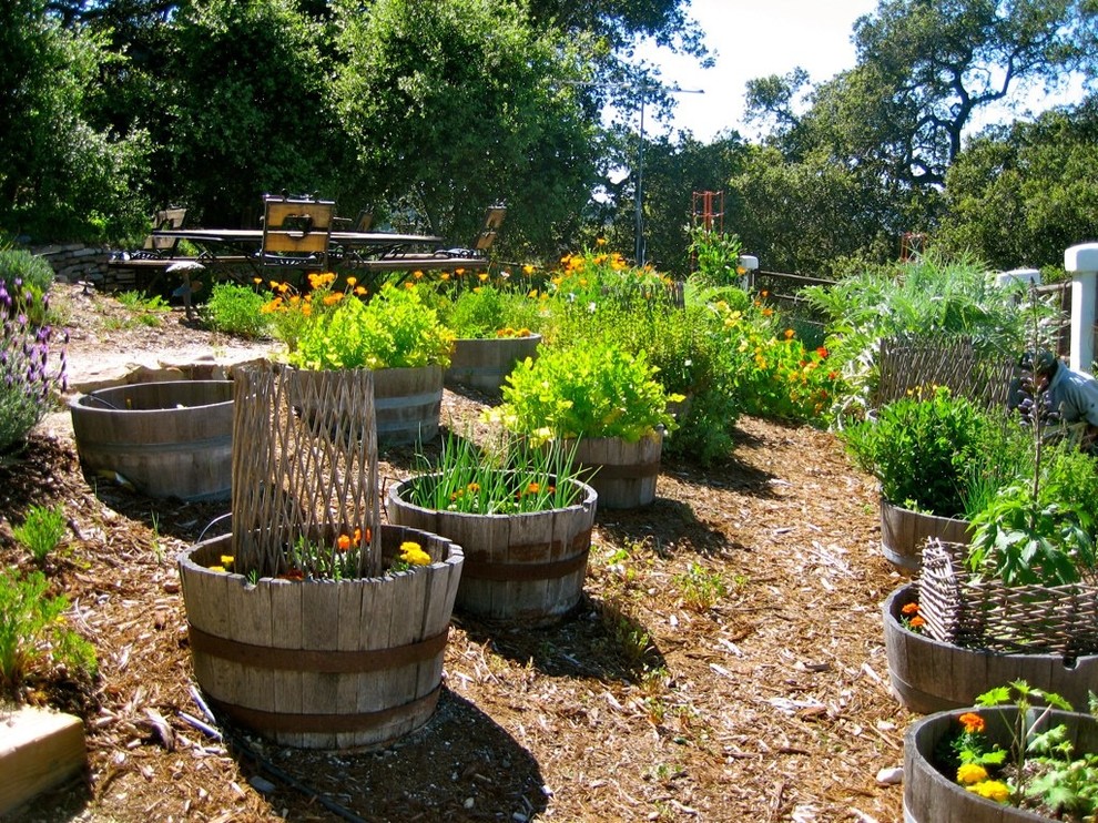 Country backyard garden in San Luis Obispo with a container garden and mulch.