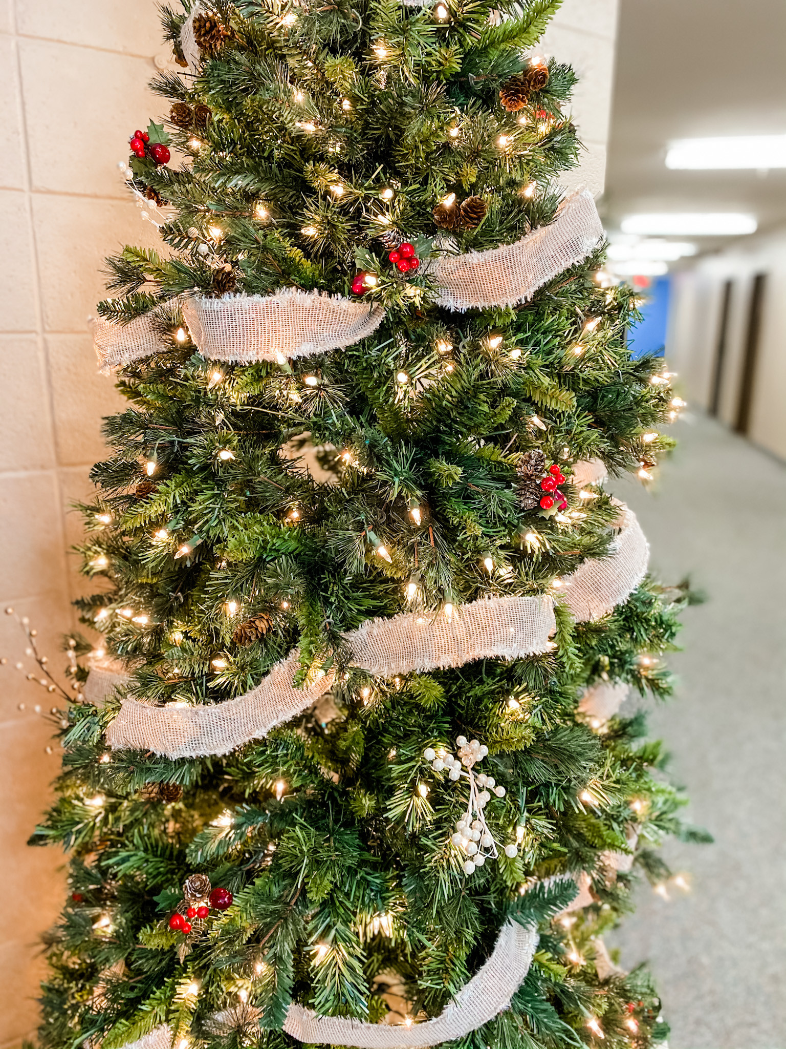 Draper Park Church Christmas Trees