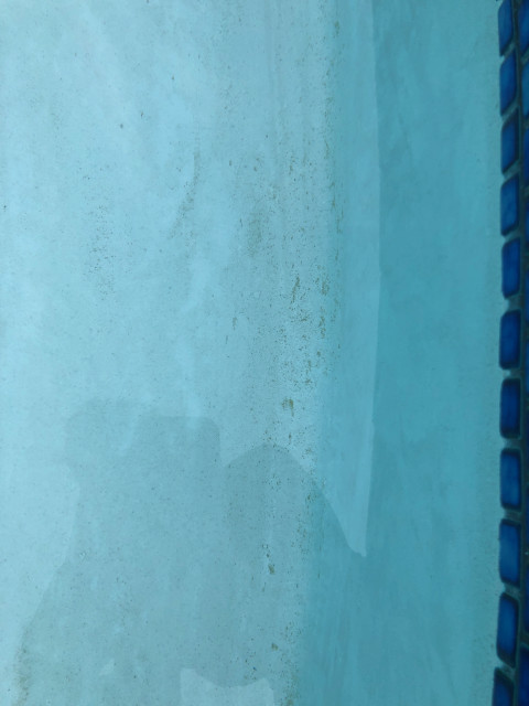 Pool plaster issue 