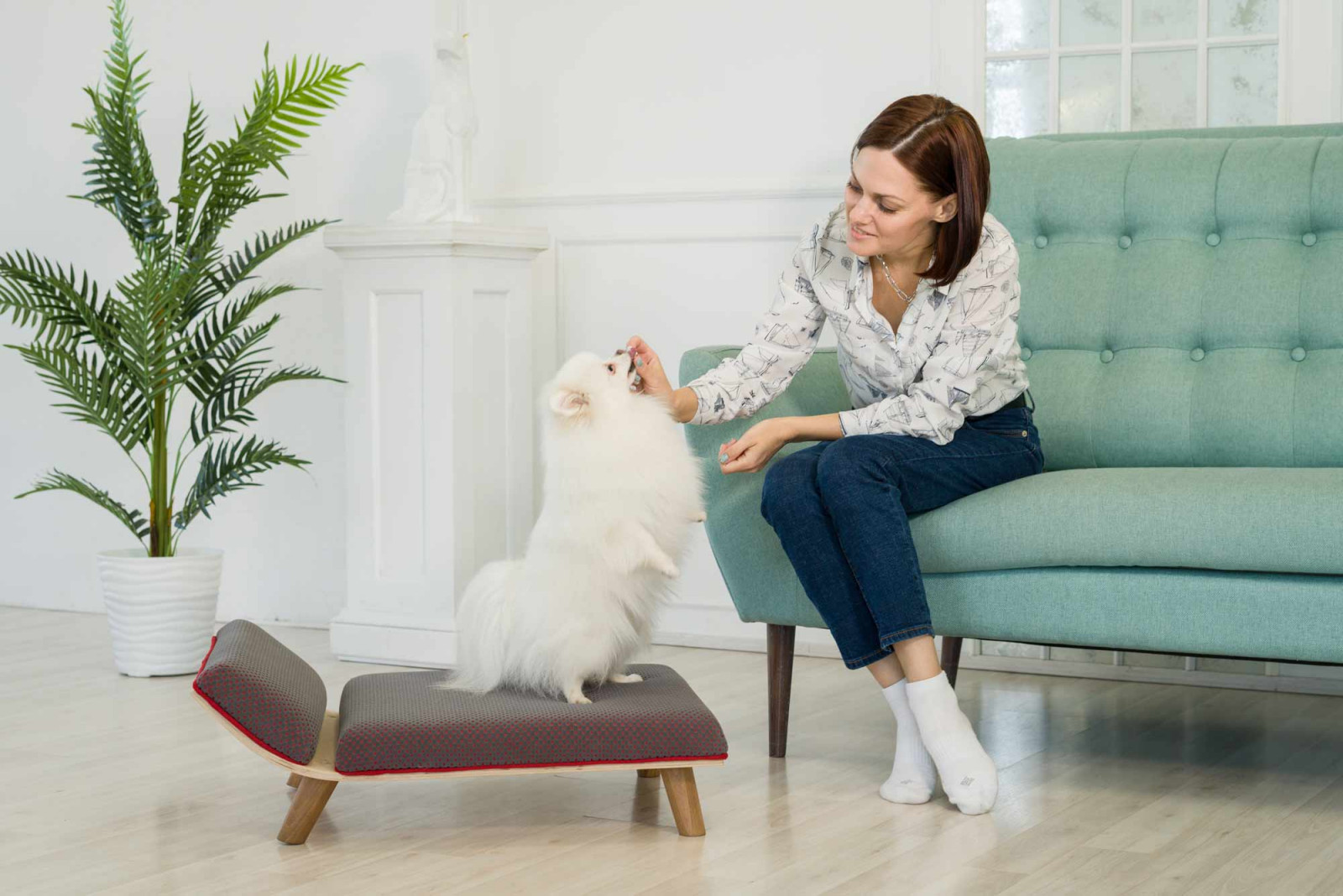 Авторская мебель для животных. Модель SONO-R