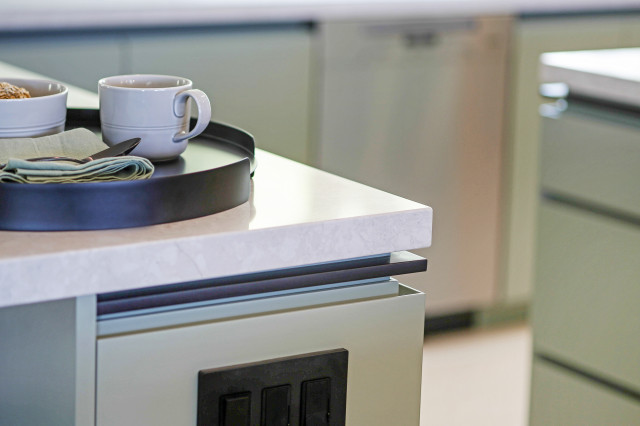 Monoline Kitchen contemporary-kitchen