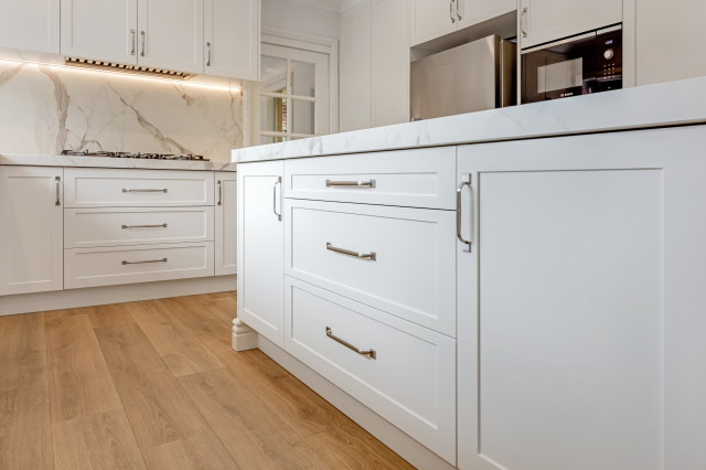 Kitchen renovation contemporary-kitchen