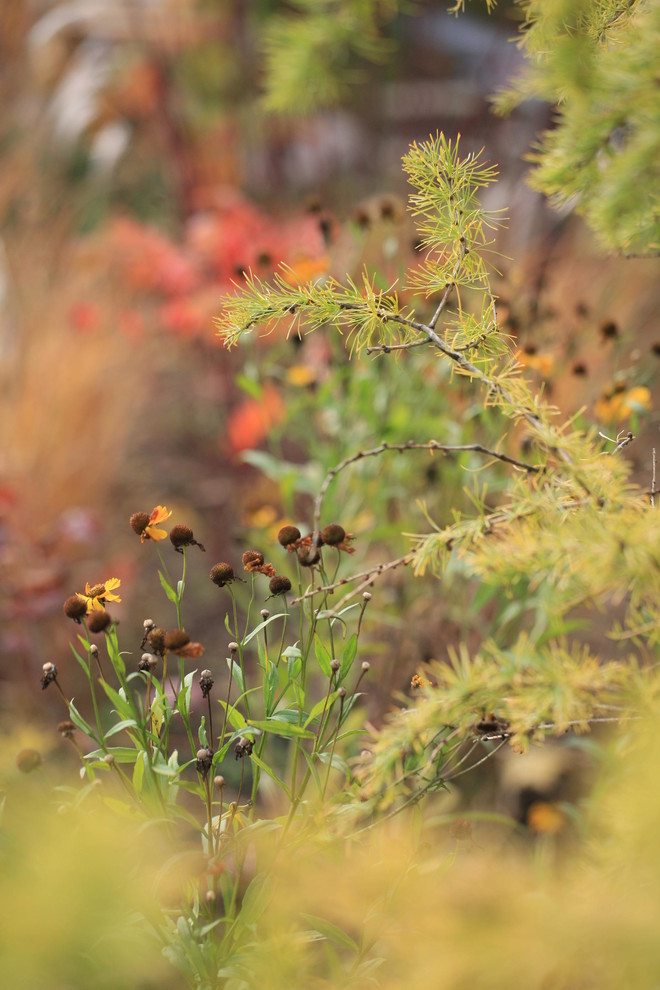 Алексеевка