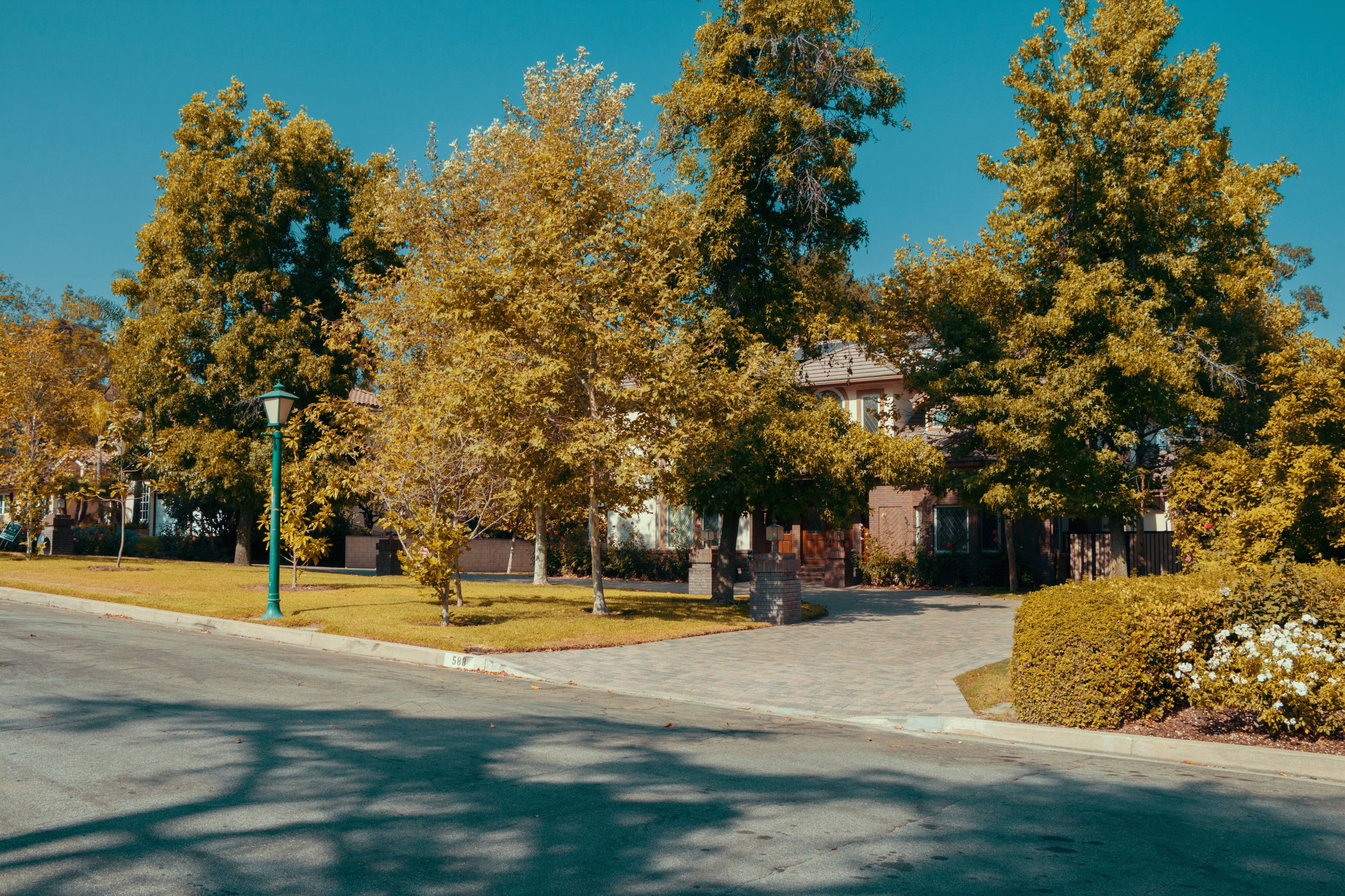 The Lum Residence
