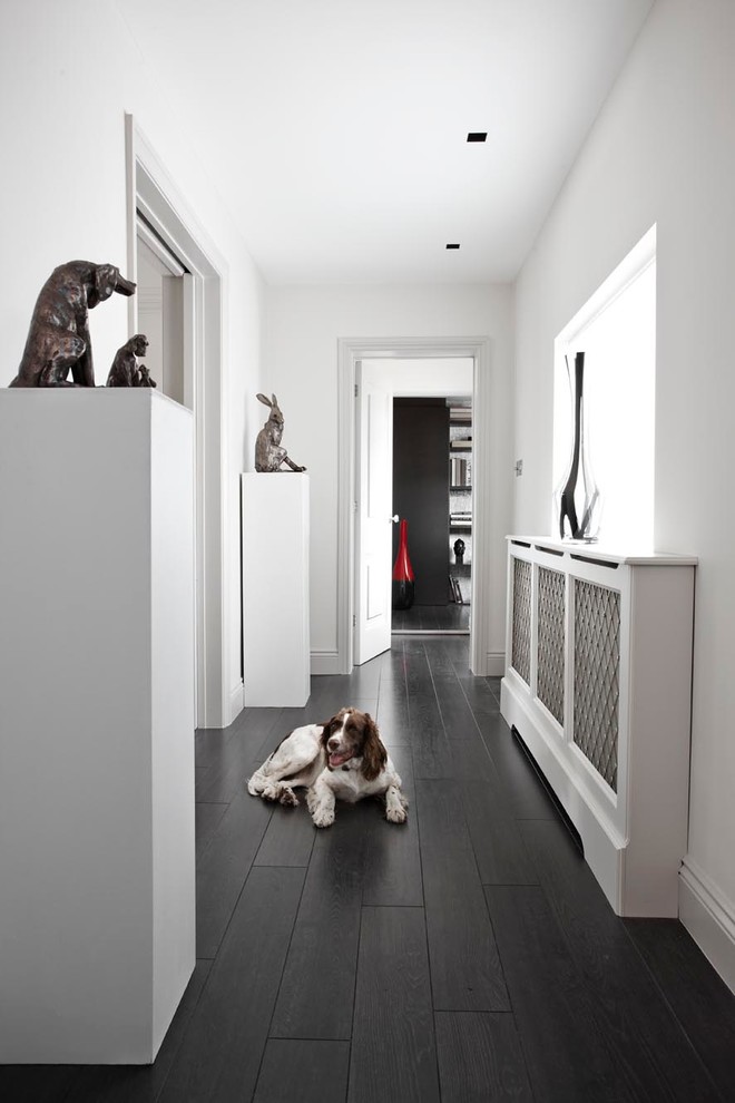 Inspiration for a contemporary hallway in London with white walls, dark hardwood floors and black floor.