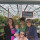 Last commented by Hillsboro Hosta & Greenhouse