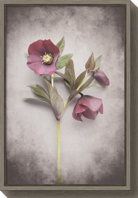 Large 22/" x 23/" Wall Canvas Art Design Floral Picture Home Decoration Flowers