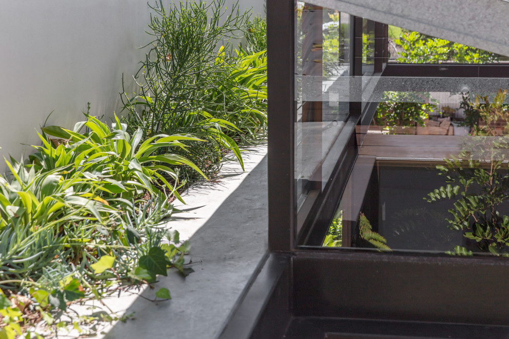 Inspiration for a contemporary garden in Sydney.