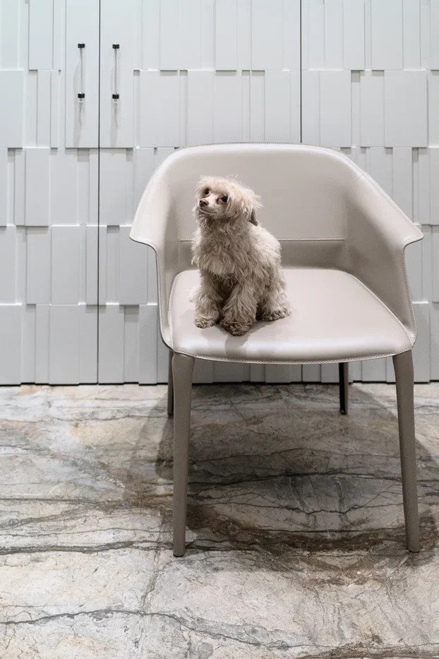 Каменная квартира