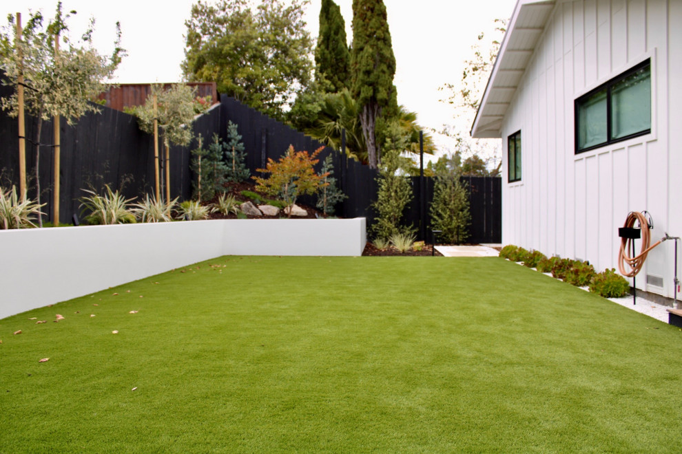 Monochromatic Burlingame Backyard
