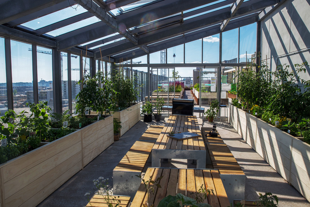 Сада на крыше в Хельсинки, Финляндия  Автор Taina Suonio