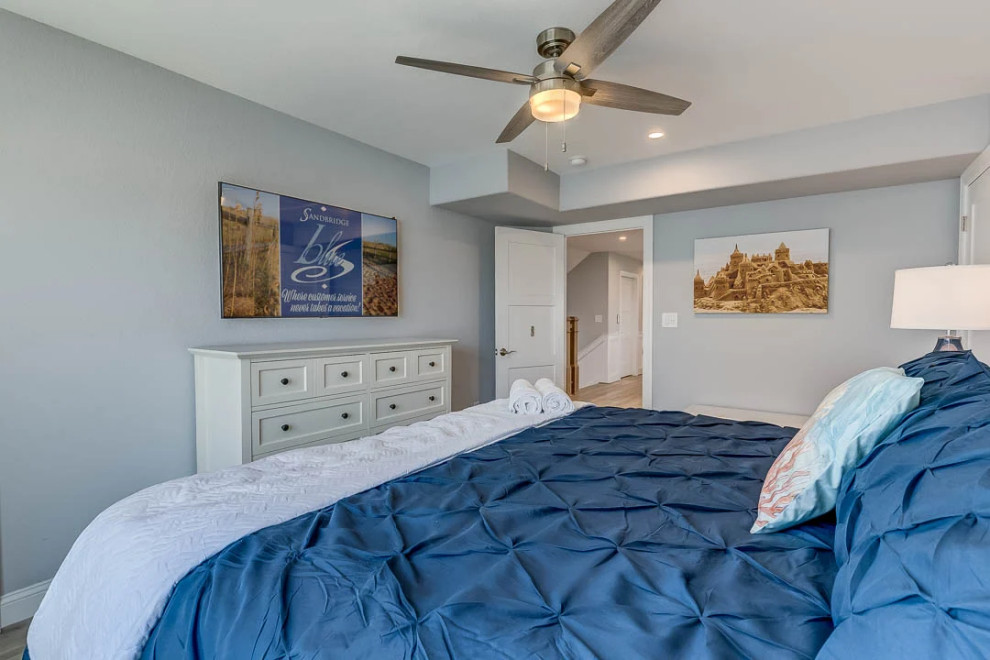 Dolphin Watch (2023)